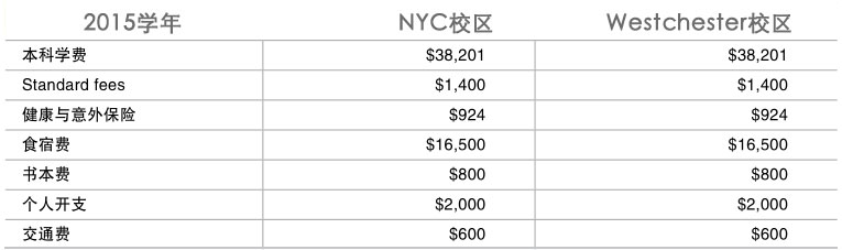 佩斯大学本科学费|Pace University|美国大学申请|未来人留学